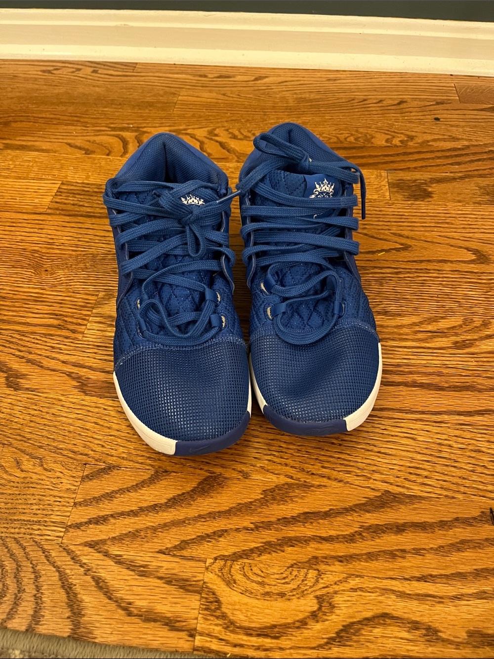 Nike LeBron Witness 8 TB Game Royal White Men’s Size 8 Basketball